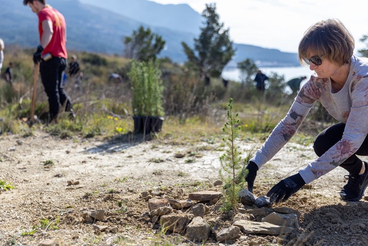 Donacijska kampanja za sadnju drveća kojom Valamar zajedno sa svojim gostima doprinosi očuvanju šuma u Hrvatskoj